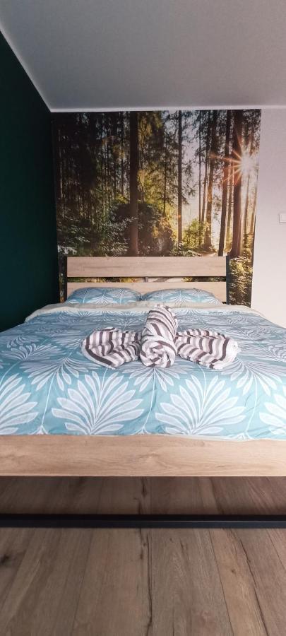 Apartamenty Diamond Na Sportowej Tylicz Exteriér fotografie